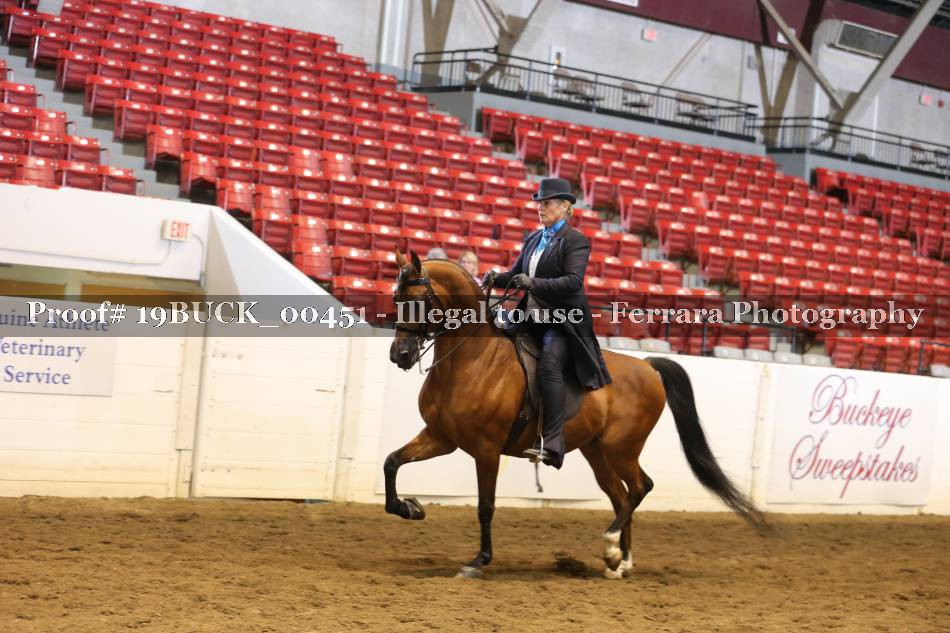 Proof 19BUCK_00451