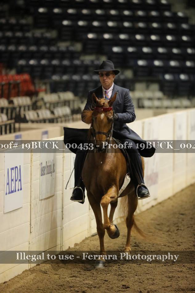 Proof 19BUCK_00453