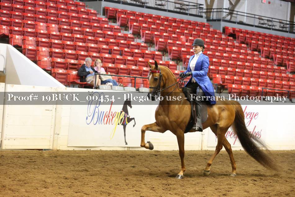 Proof 19BUCK_00454