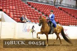 19BUCK_00454 proof