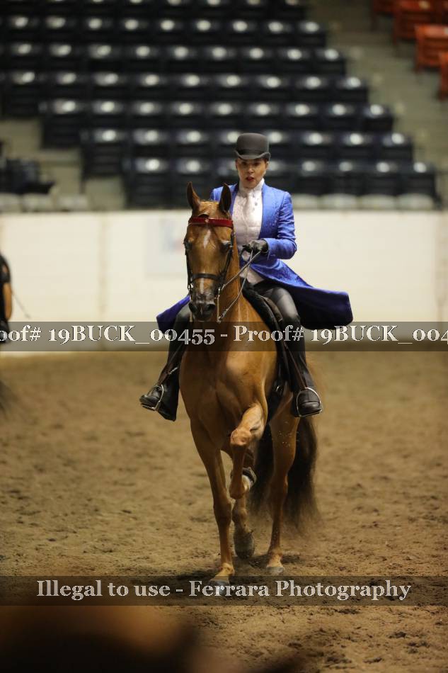Proof 19BUCK_00455