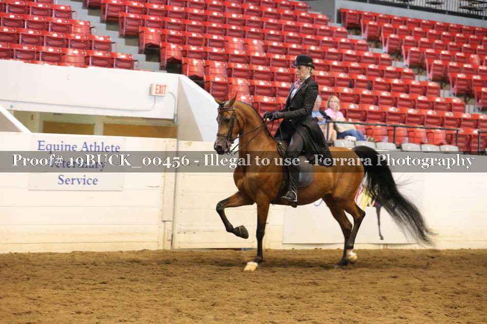 Proof 19BUCK_00456