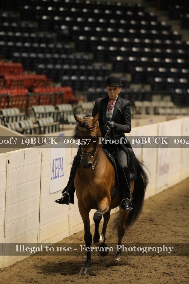 Proof 19BUCK_00457