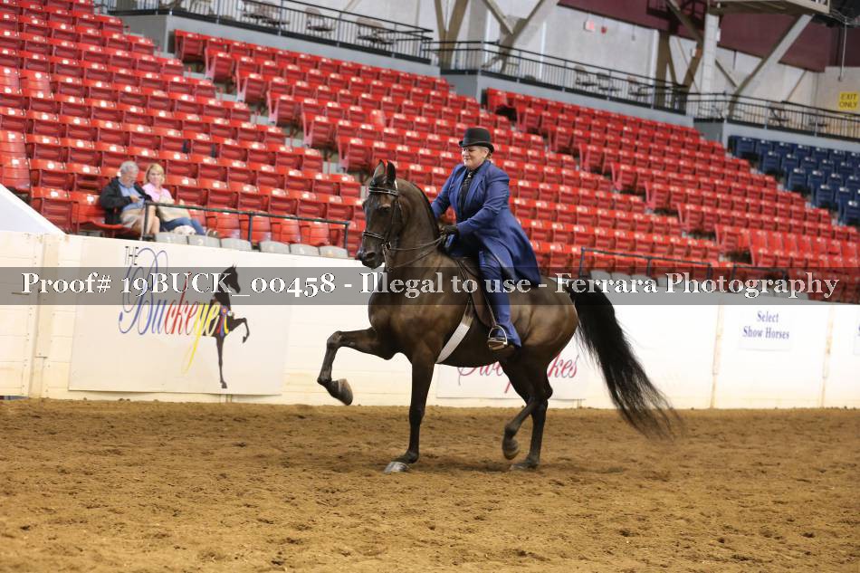 Proof 19BUCK_00458