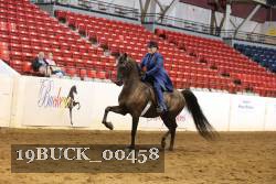 19BUCK_00458 proof