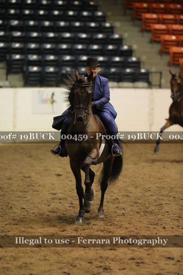 Proof 19BUCK_00459
