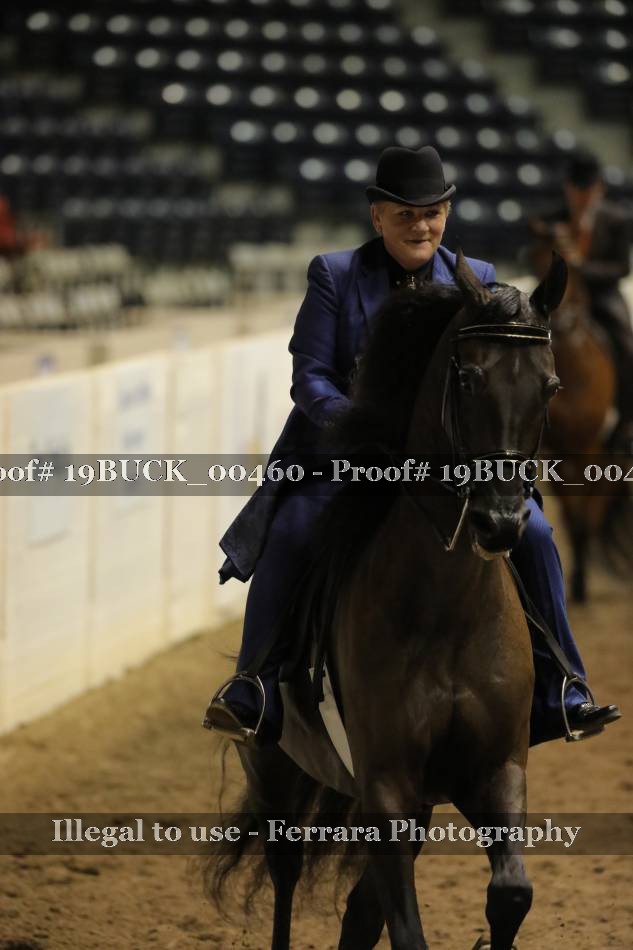 Proof 19BUCK_00460