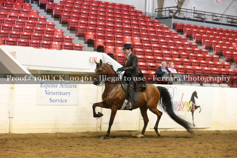 Proof 19BUCK_00461