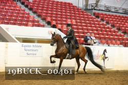 19BUCK_00461 proof