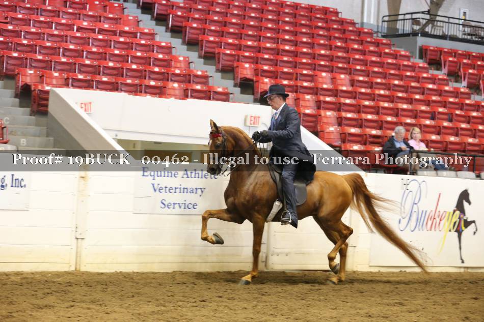 Proof 19BUCK_00462