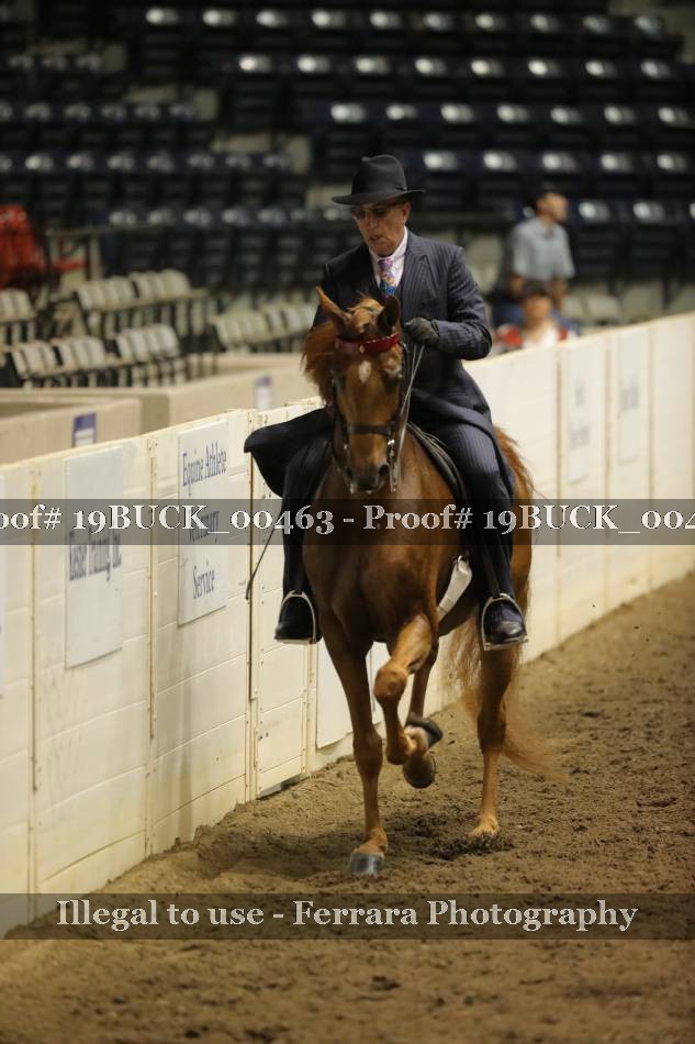 Proof 19BUCK_00463
