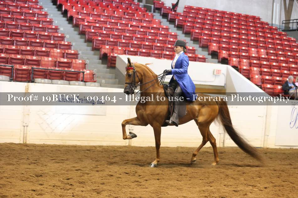 Proof 19BUCK_00464