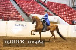 19BUCK_00464 proof