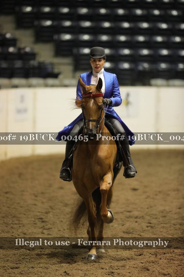 Proof 19BUCK_00465