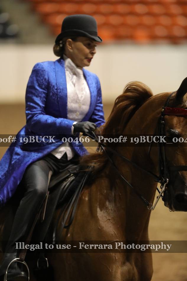 Proof 19BUCK_00466