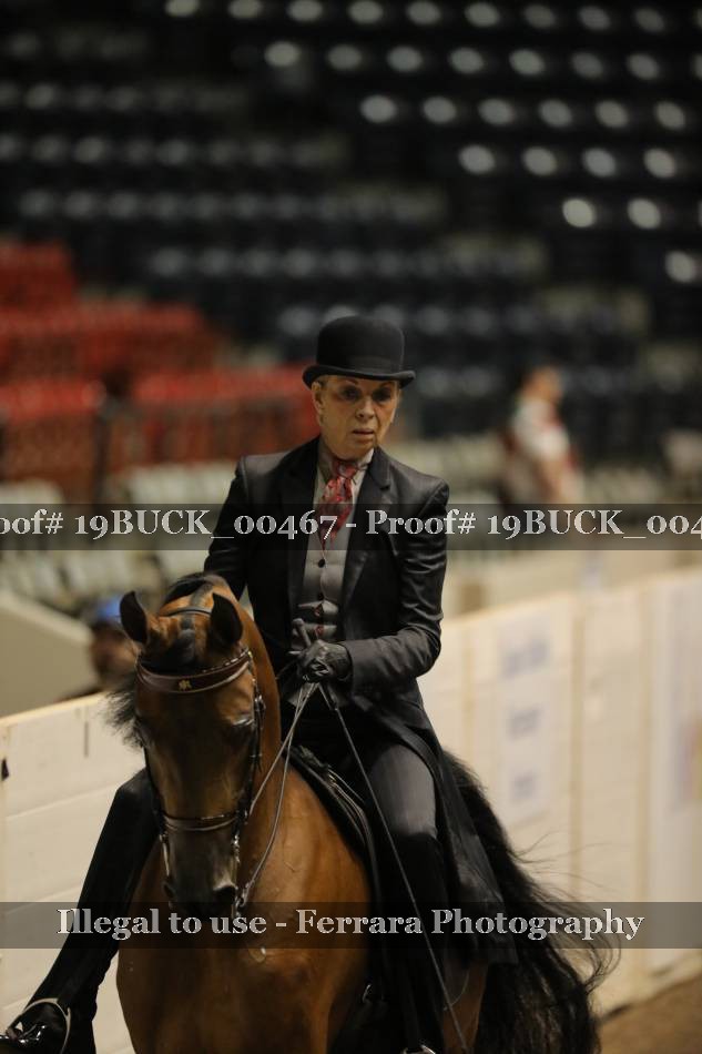 Proof 19BUCK_00467