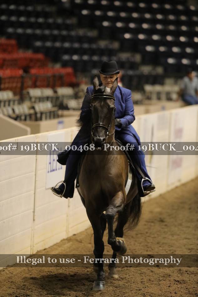 Proof 19BUCK_00468