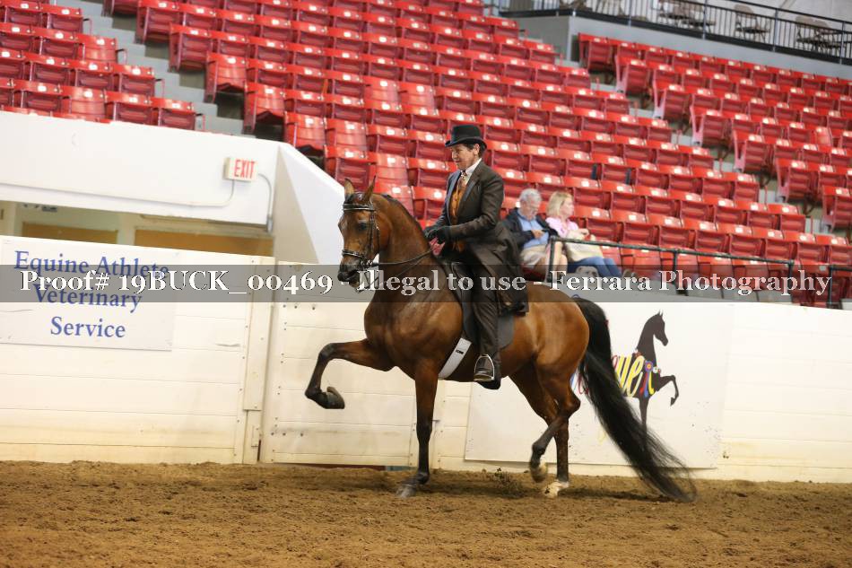Proof 19BUCK_00469