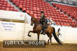 19BUCK_00469 proof