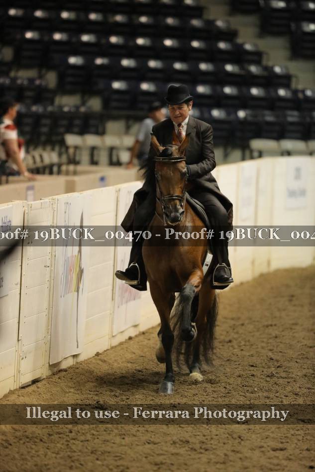 Proof 19BUCK_00470