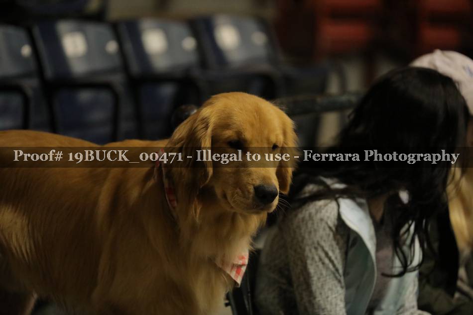 Proof 19BUCK_00471
