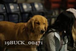 19BUCK_00471 proof