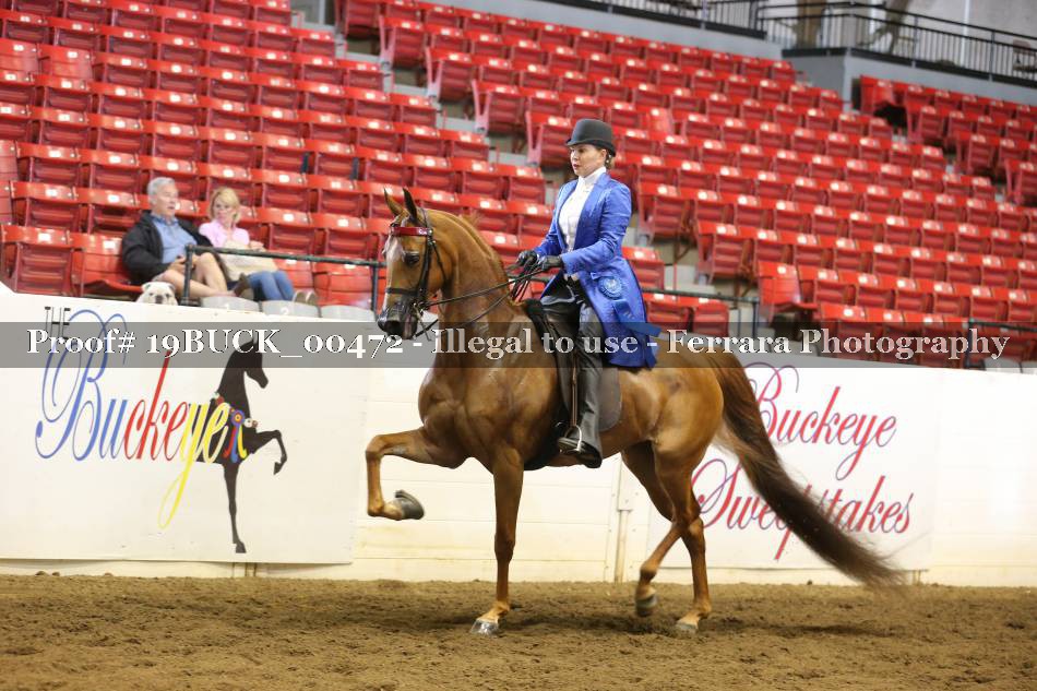 Proof 19BUCK_00472