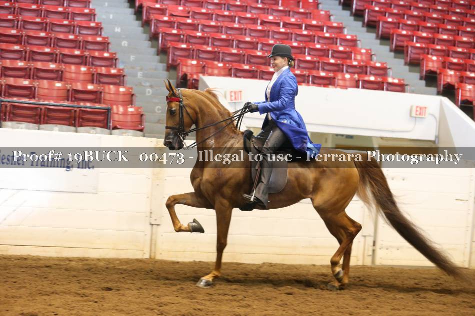 Proof 19BUCK_00473