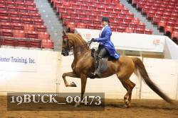 19BUCK_00473 proof