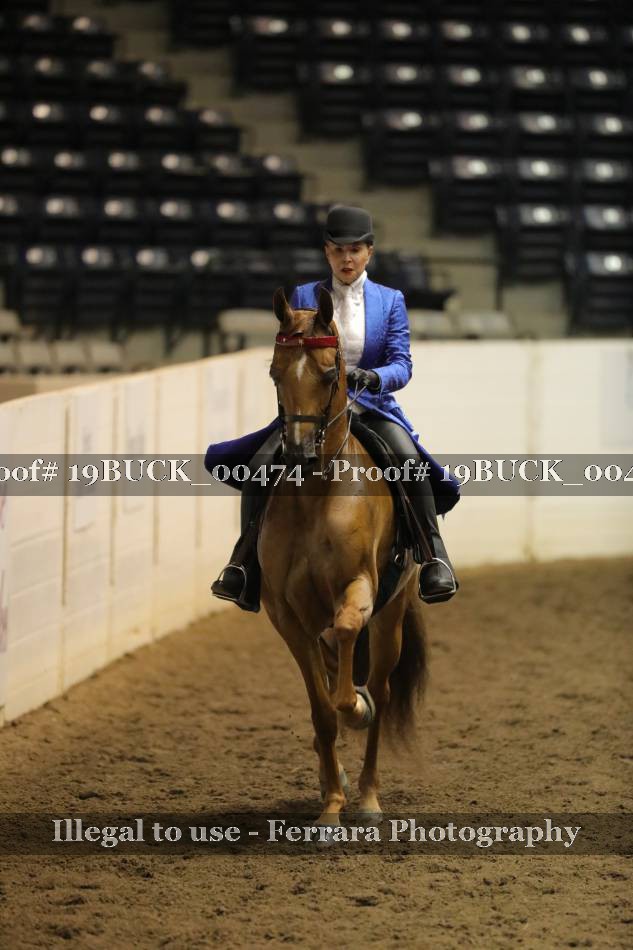 Proof 19BUCK_00474