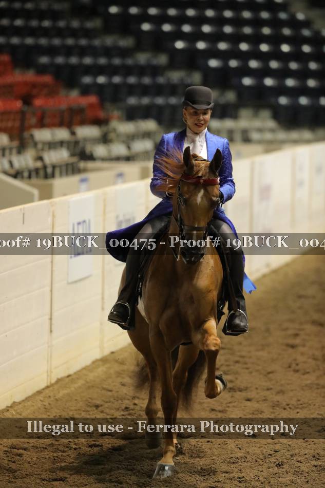 Proof 19BUCK_00475
