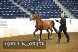 19BUCK_00476 proof