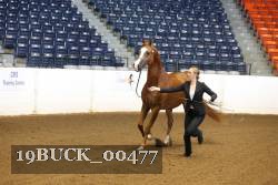 19BUCK_00477 proof