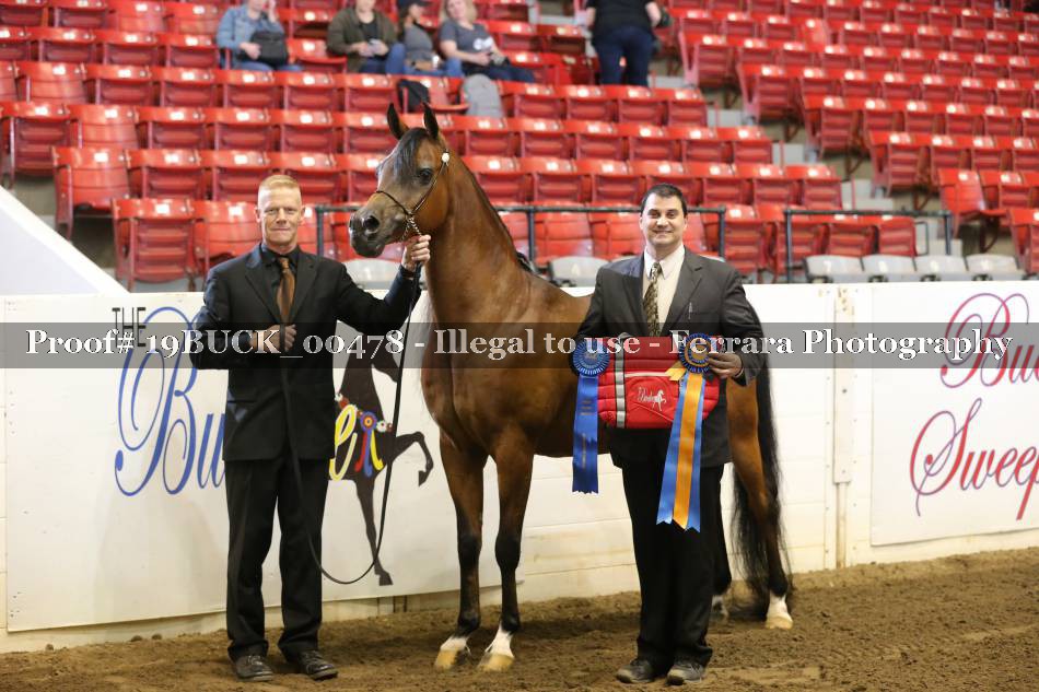 Proof 19BUCK_00478
