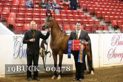 19BUCK_00478 proof