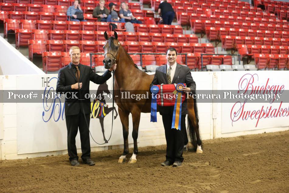 Proof 19BUCK_00479