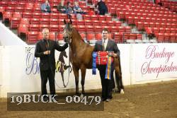 19BUCK_00479 proof