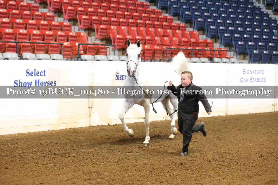 Proof 19BUCK_00480