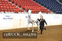 19BUCK_00480 proof