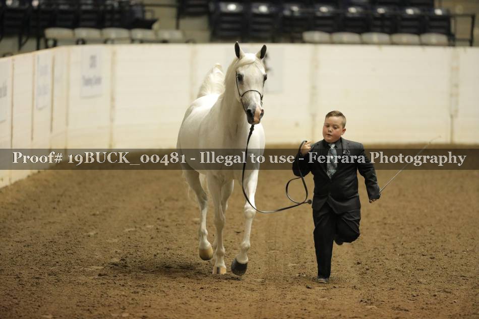 Proof 19BUCK_00481
