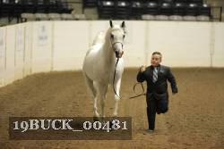 19BUCK_00481 proof