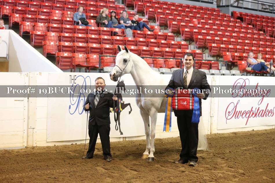 Proof 19BUCK_00482