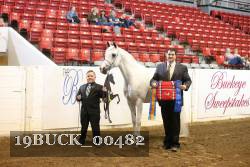 19BUCK_00482 proof