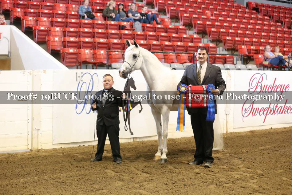 Proof 19BUCK_00483