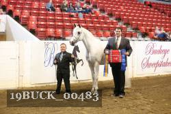 19BUCK_00483 proof