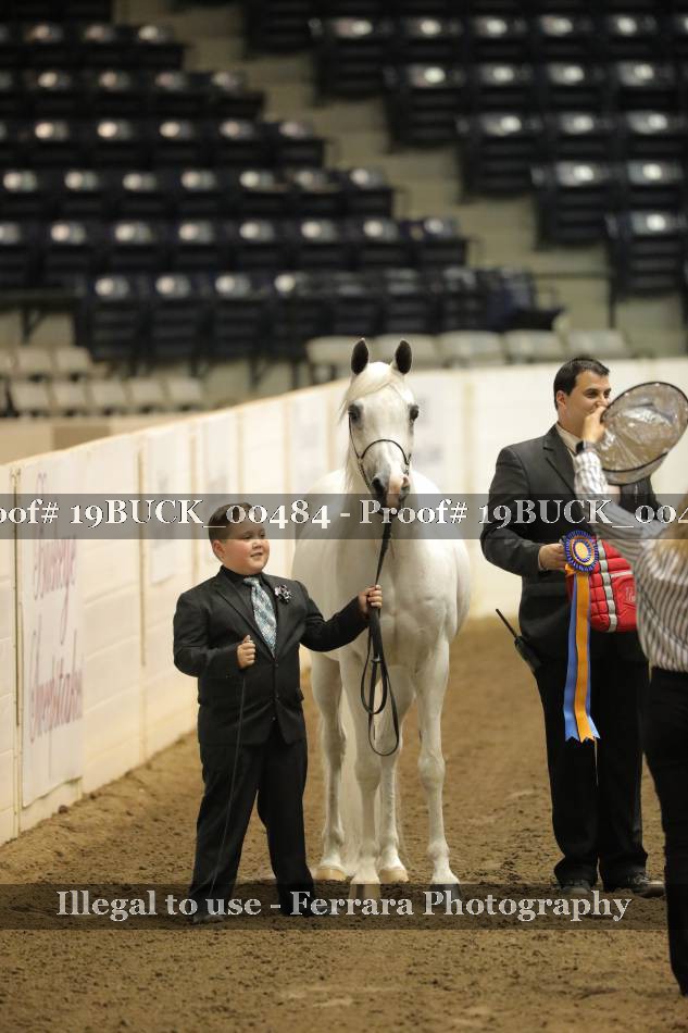 Proof 19BUCK_00484