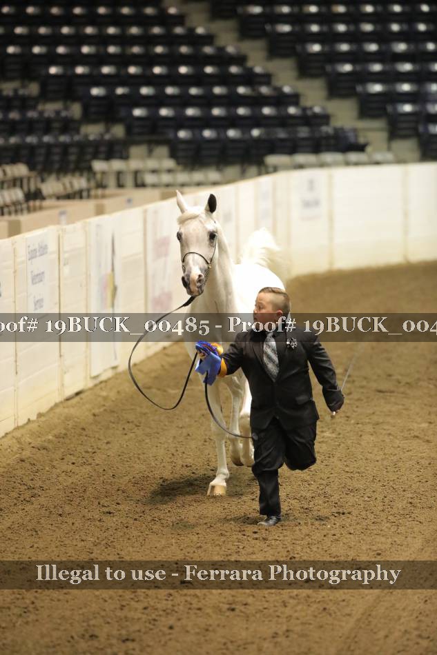 Proof 19BUCK_00485