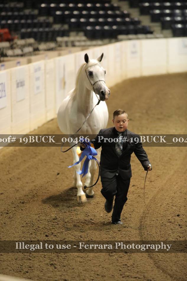 Proof 19BUCK_00486