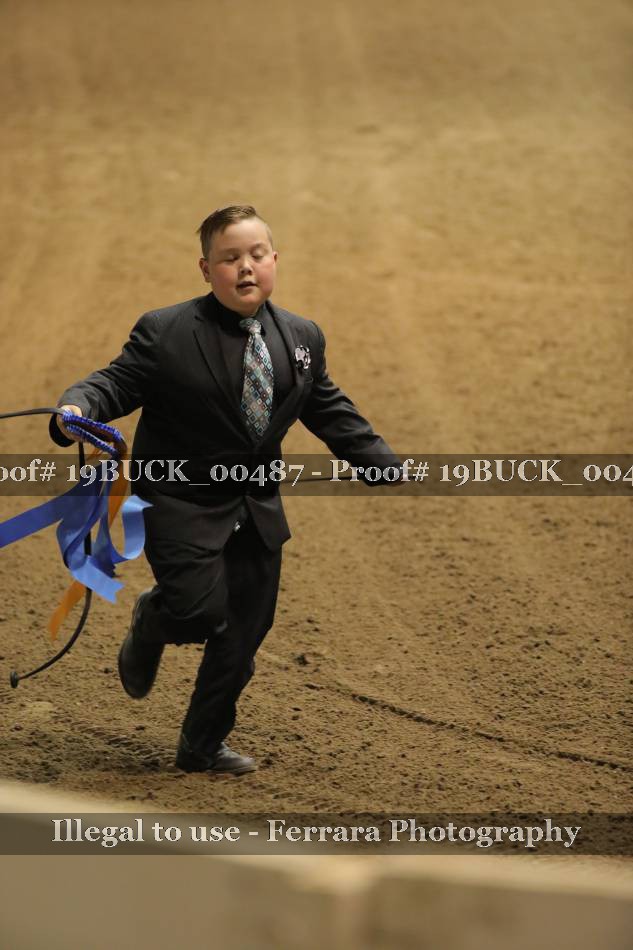 Proof 19BUCK_00487