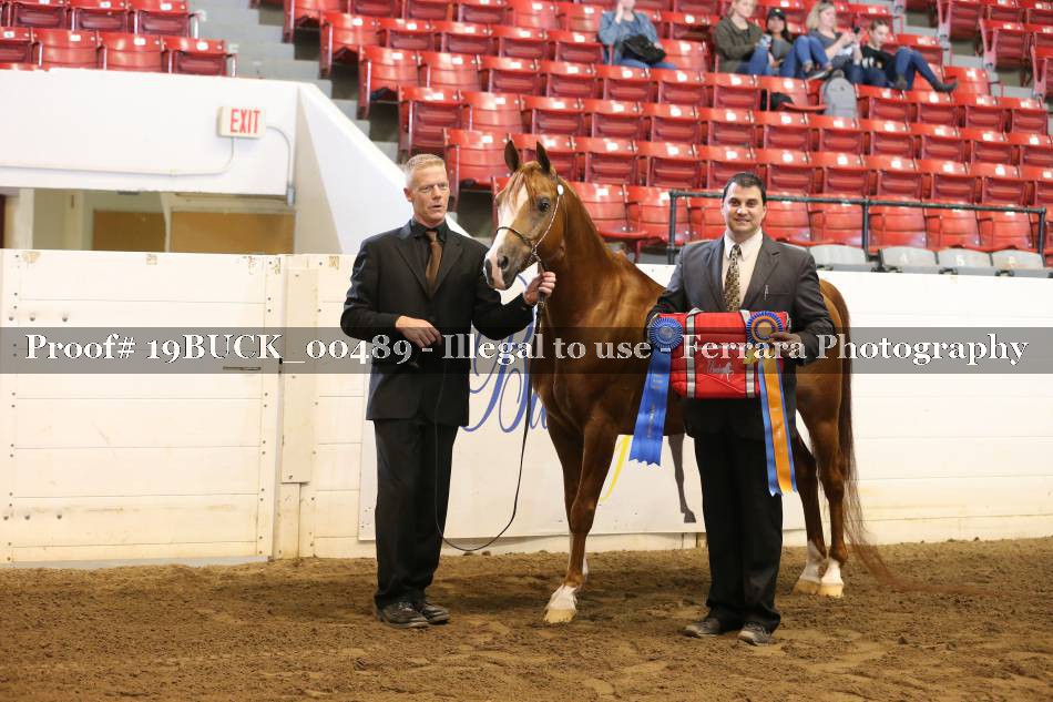 Proof 19BUCK_00489